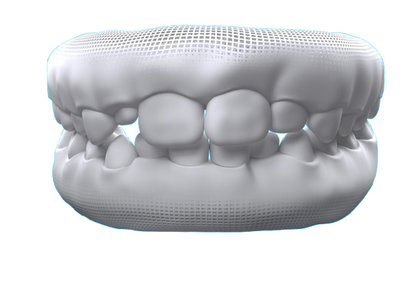 Baby and permanent teeth